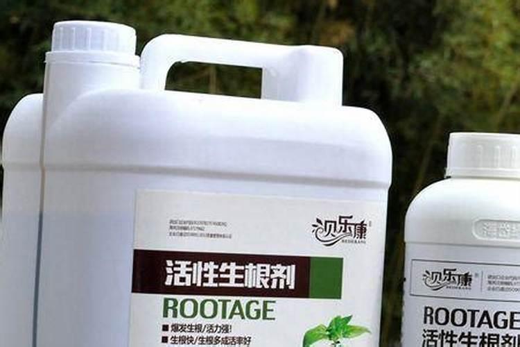 枯草芽孢杆菌能不能和生根液一起用？