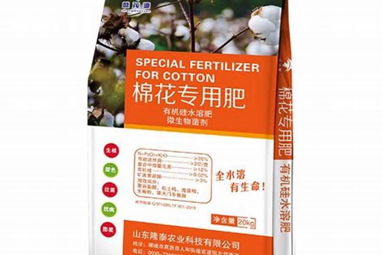 一个沃柑有多少克？