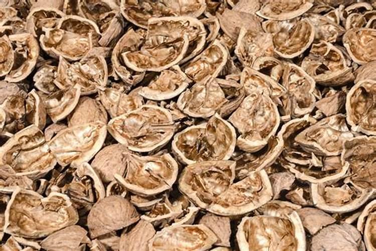 黄腐酸和腐植酸哪个好呢？告诉你:黄腐酸更“牛”,你不得不服!