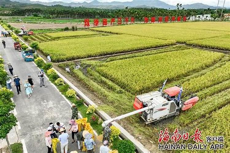 种植水稻用木醋液哪个厂家好