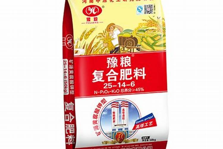出花箭的墨兰几天浇水