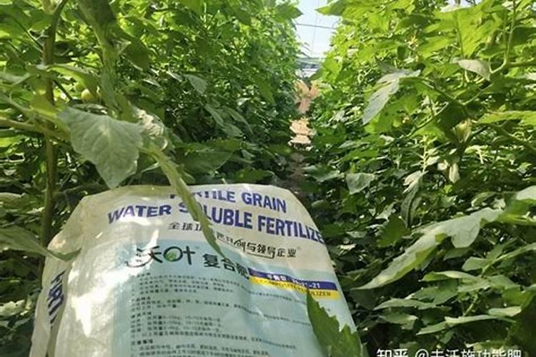 水溶肥知名品牌有哪些？