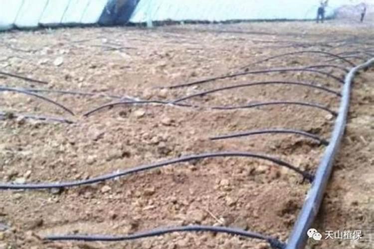 中国四大脐橙产业基地,哪一个才是真正的脐橙之乡