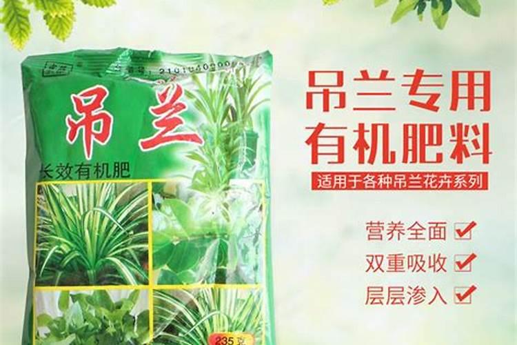 花肥去哪里买