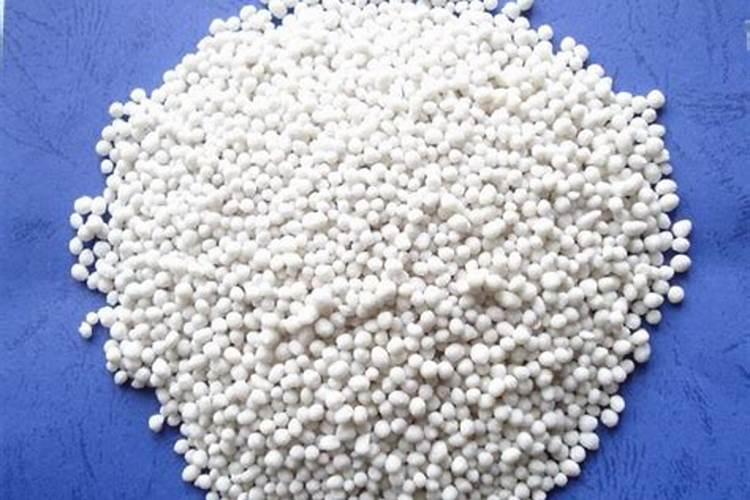 万寿菊怎么浇水最好