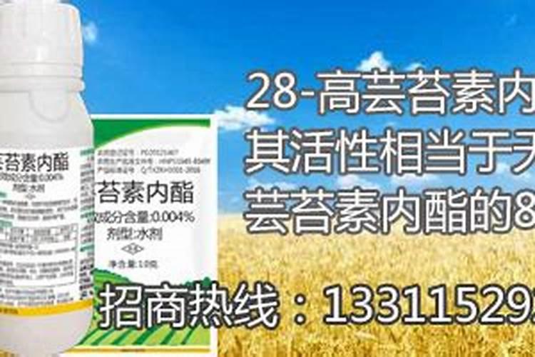 梨树花前花后喷什么农药？