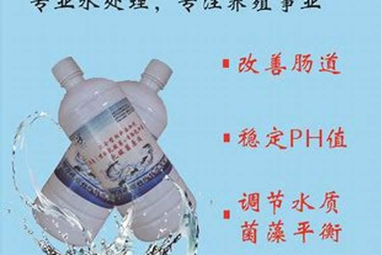 硝化细菌的问题？