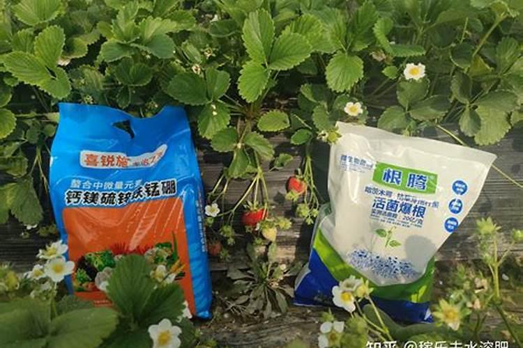 大量元素水溶肥和水溶性复合肥的区别