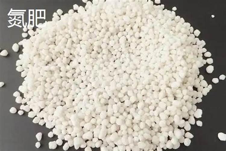 大豆有固氮的作用么 为什么