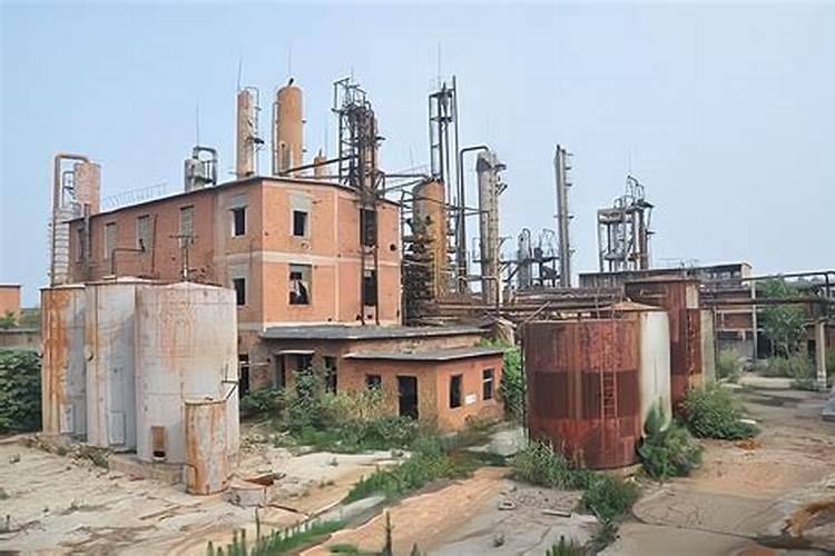 绿豆底肥放什么肥好(底肥施用方法)