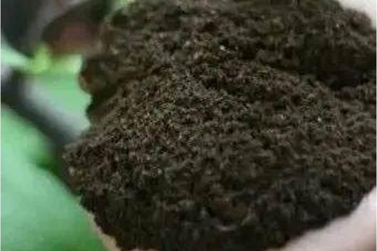 虾塘用石灰好或白云石粉好