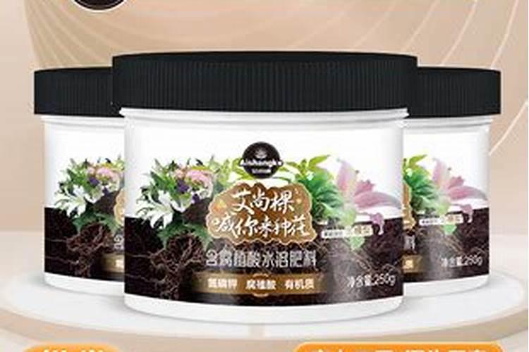 玫瑰花怎么施肥