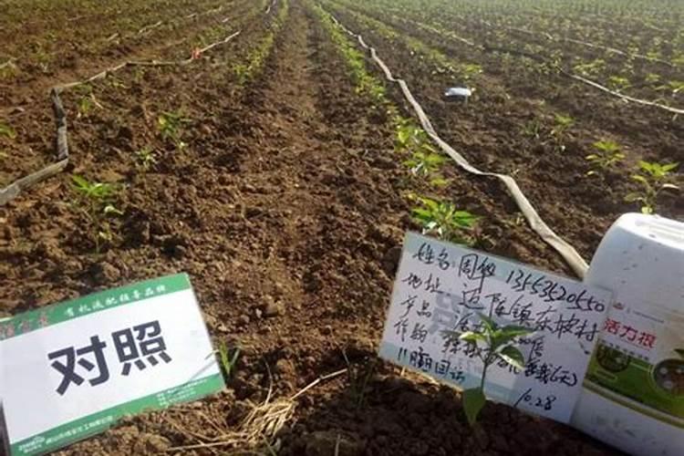 品牌榜:2024年生物有机肥十大品牌排行榜 投票结果公布【新】百度知...
