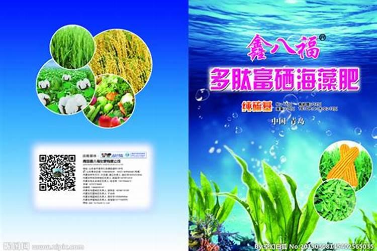 硝酸磷肥生产工艺是什么 硝酸磷肥发展前景如何