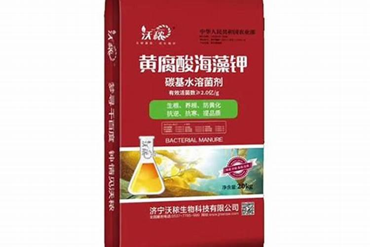 葡萄黄叶病用什么药