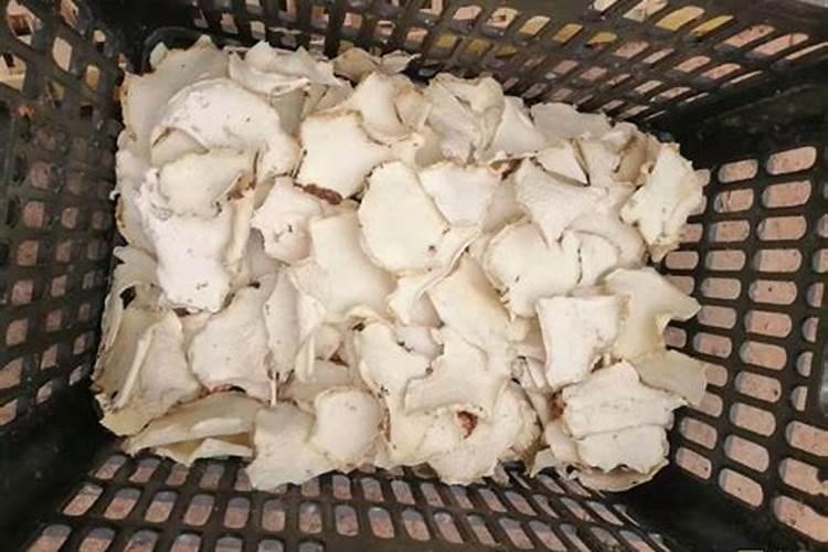 魔芋种植时肥料和树叶子怎么放？
