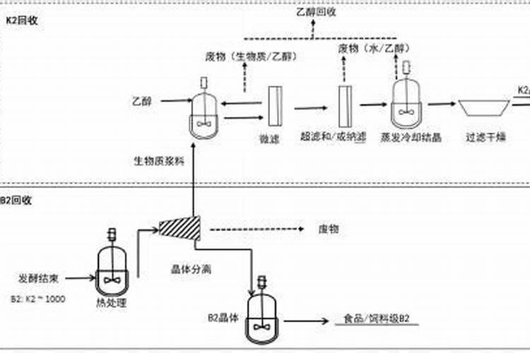 柑橘移植后怎么管理？柑橘树施什么肥好？