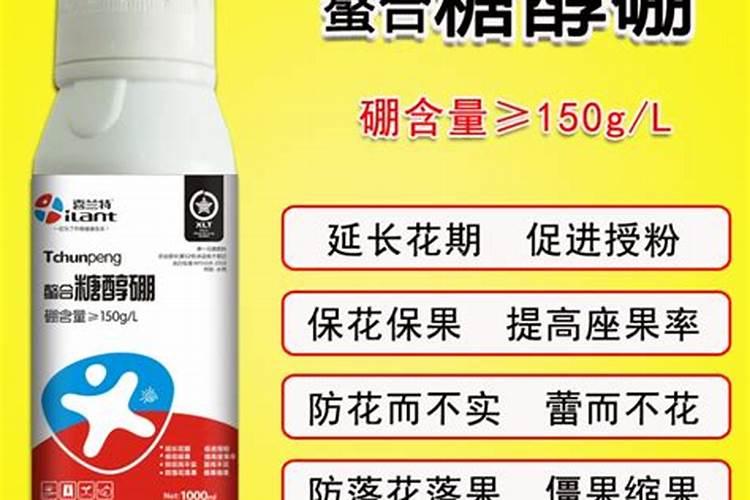 一100克红薯的热量是多少