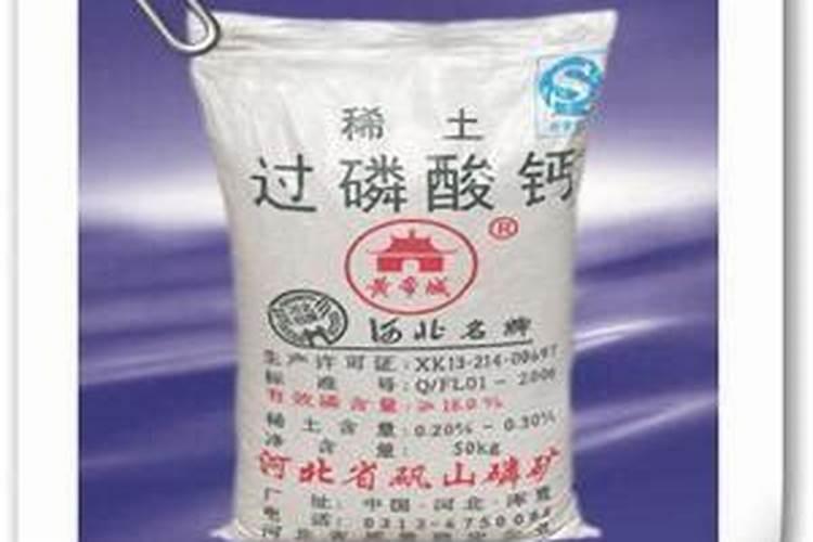 几月份栽芒果树最好