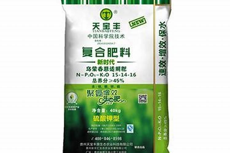 香葱种子的种植方法和时间