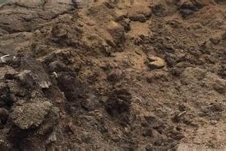 农家肥可以直接施吗