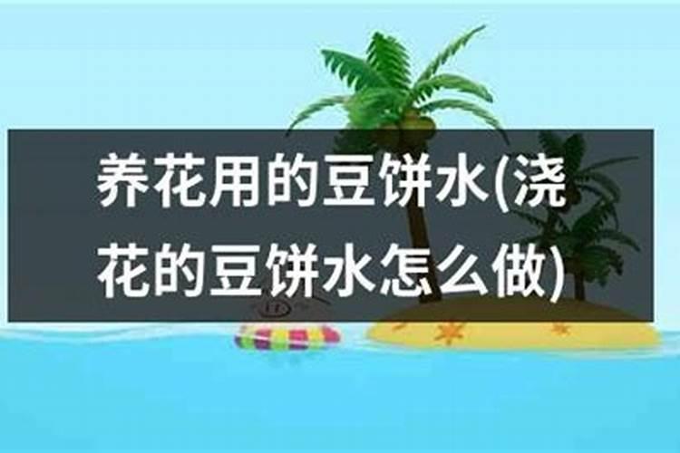 用豆饼水施肥肥效好吗