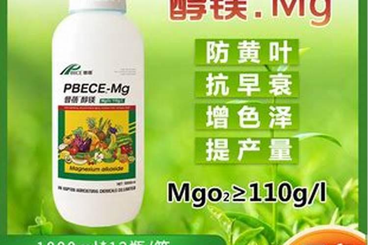 如何给花施磷肥
