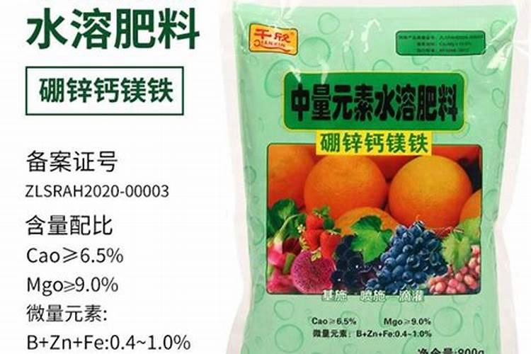 柑橘什么时候施肥