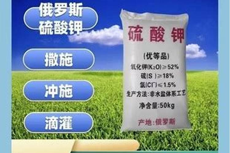 俄罗斯红钾肥可以浇菜吗