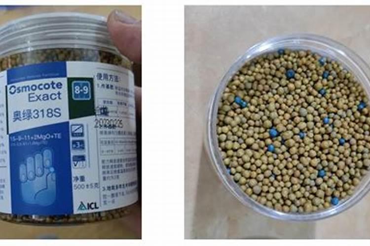 西兰花怎么施肥？西兰花生态种植方案