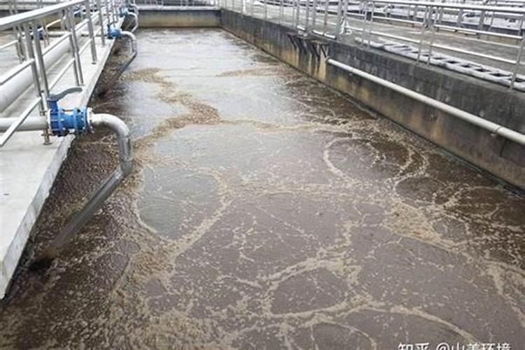 黄豆水是氮肥还是磷肥
