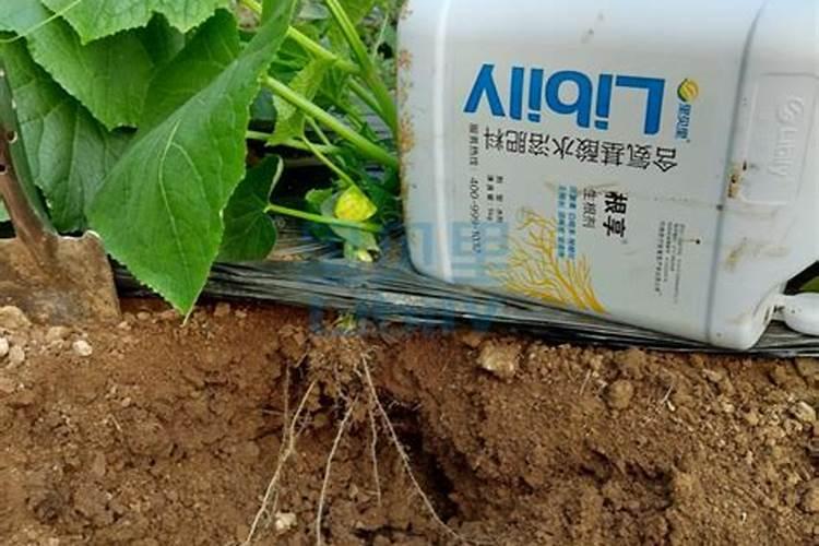 腐植酸水溶肥料和什么肥料配和使用