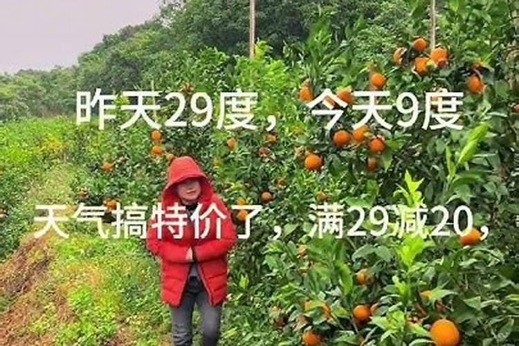 什么花卉能用赤霉素