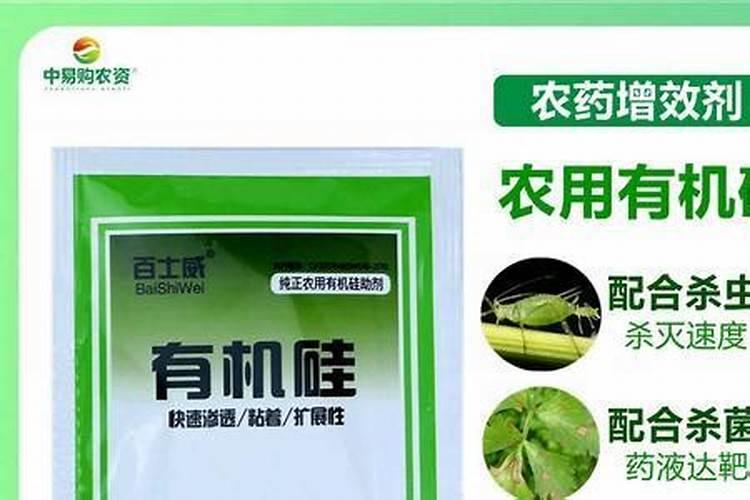 葡萄幼苗施肥用什么肥料好(新栽葡萄苗期需要怎样施肥)
