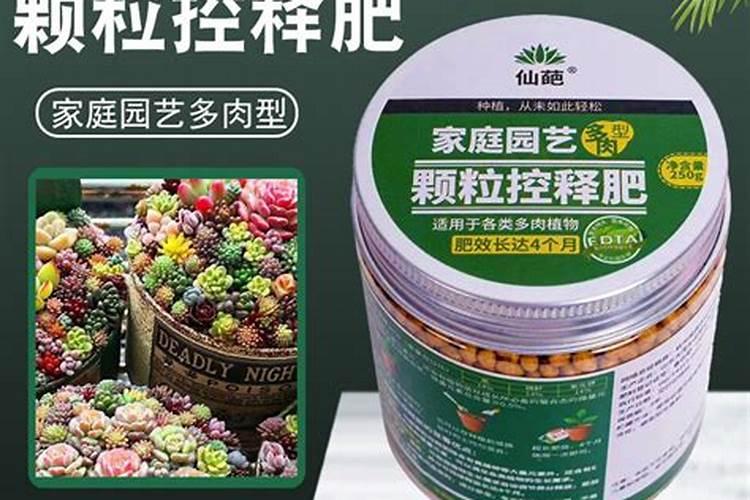 颗粒控释肥适合多肉吗？