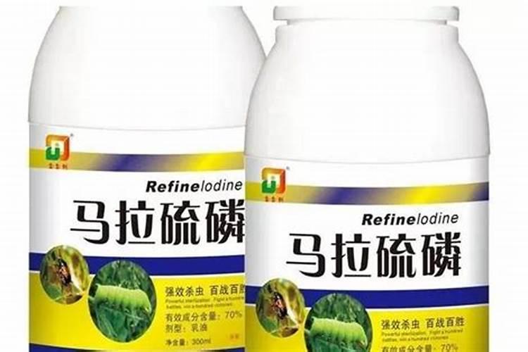 什么肥料可以促进根系生长