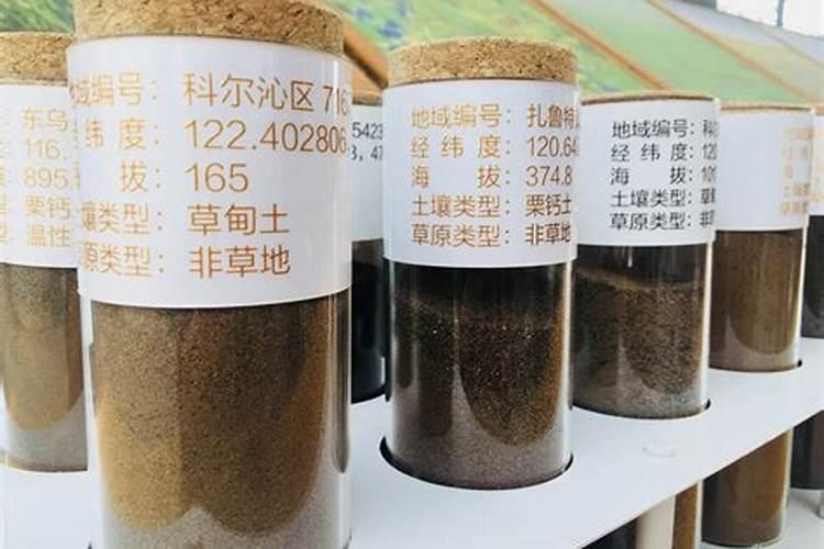 葡萄补钙最佳时间(给葡萄补钙什么钙肥最)