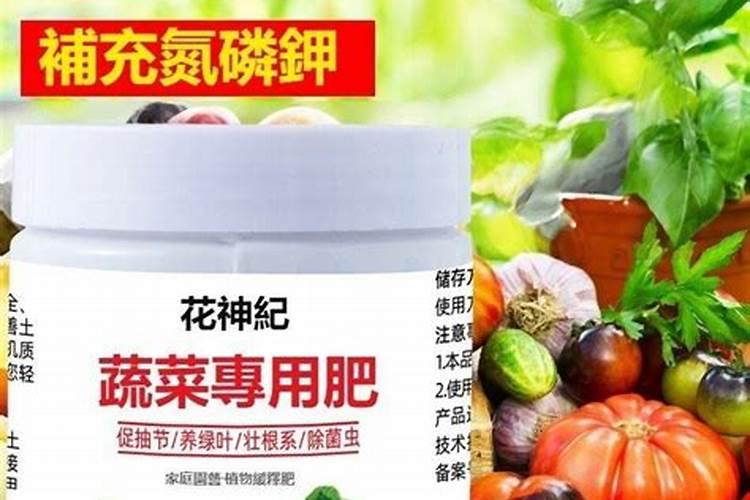 荔枝有什么营养元素