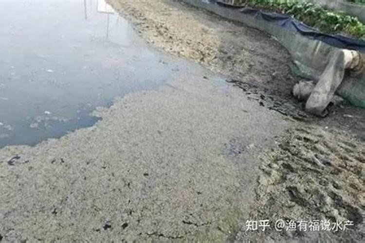 温室大棚葡萄扣棚前最佳施肥时间是什么时候？具体使用什么肥料？