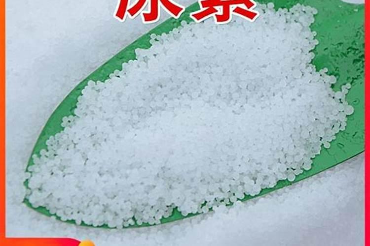 橙子树种植对土壤和气候的要求 橙子树的养护