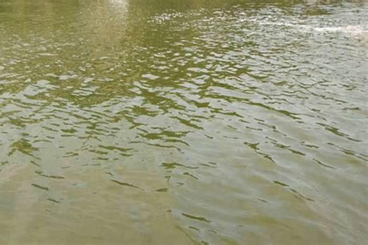 水产养殖行业中的肥水问题