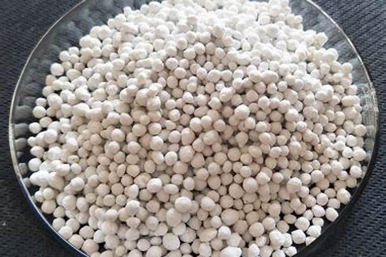 多肉植物施什么肥容易爆盆