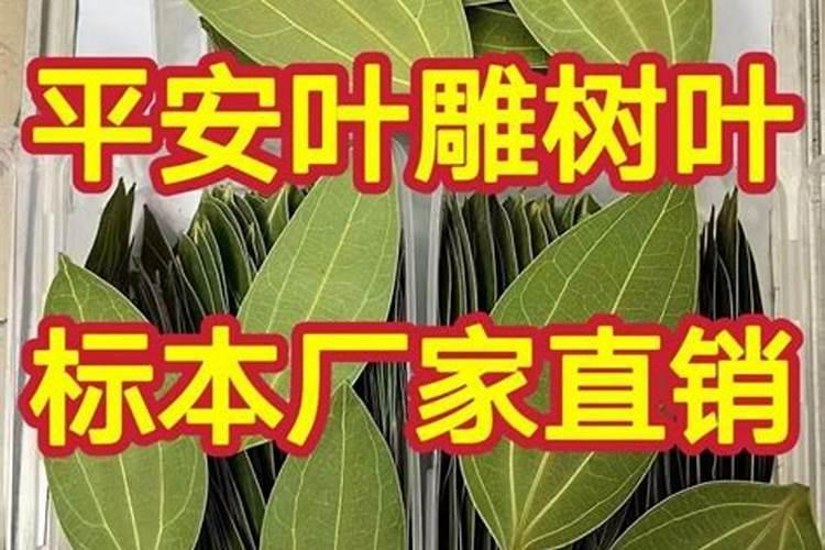 三个字智能科技公司起名 简单大气智能科技公司名称