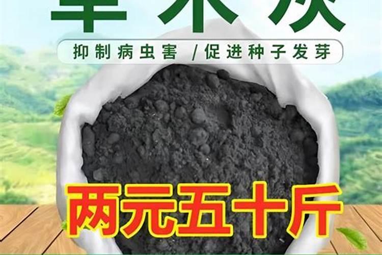 大姜生根壮苗用什么冲施肥？