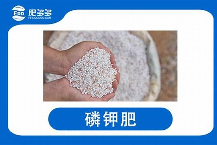 葡萄小苗用什么肥长得快