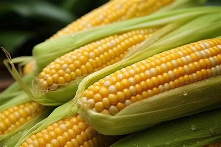 磷肥不溶于水怎样被植物吸收