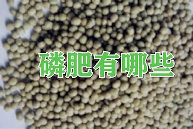 磷肥分为哪几种类型？