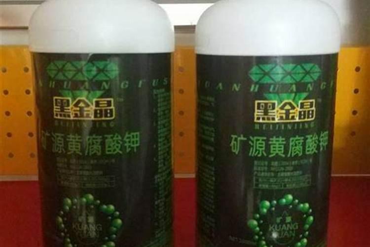 怎么补救下垂的橡皮树,更换土壤减少施肥