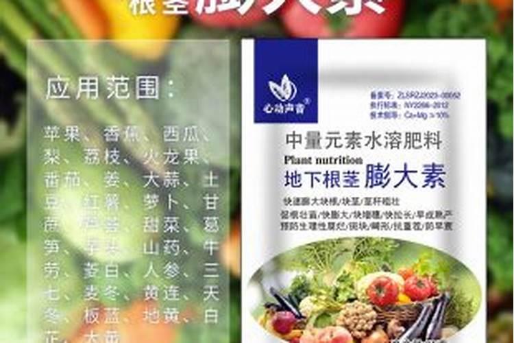 西瓜膨大期用什么肥料