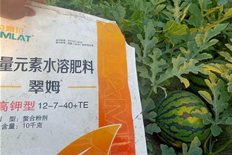怎样让西瓜快速膨大